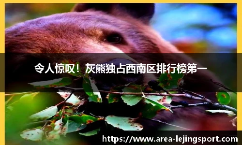 乐竞体育官方网站
